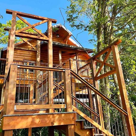 Cricket Hill Treehouse By Amish Country Lodging Millersburg Exteriör bild