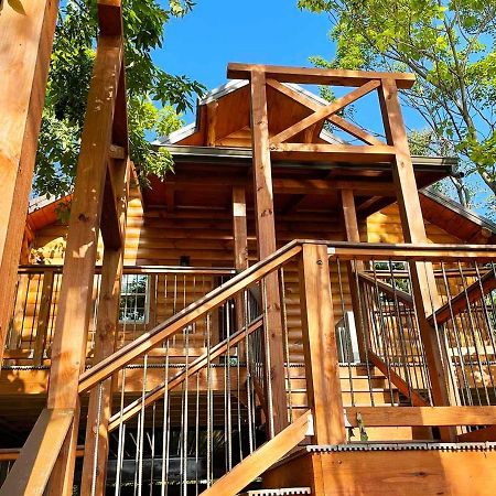 Cricket Hill Treehouse By Amish Country Lodging Millersburg Exteriör bild