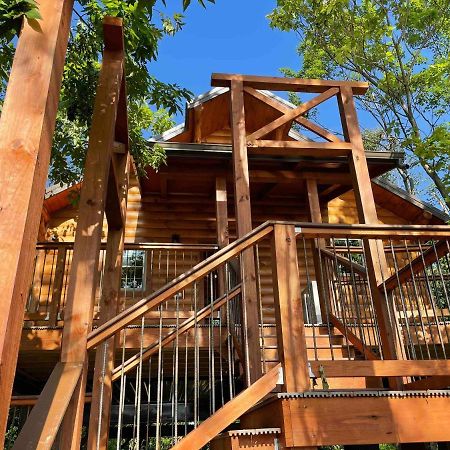 Cricket Hill Treehouse By Amish Country Lodging Millersburg Exteriör bild