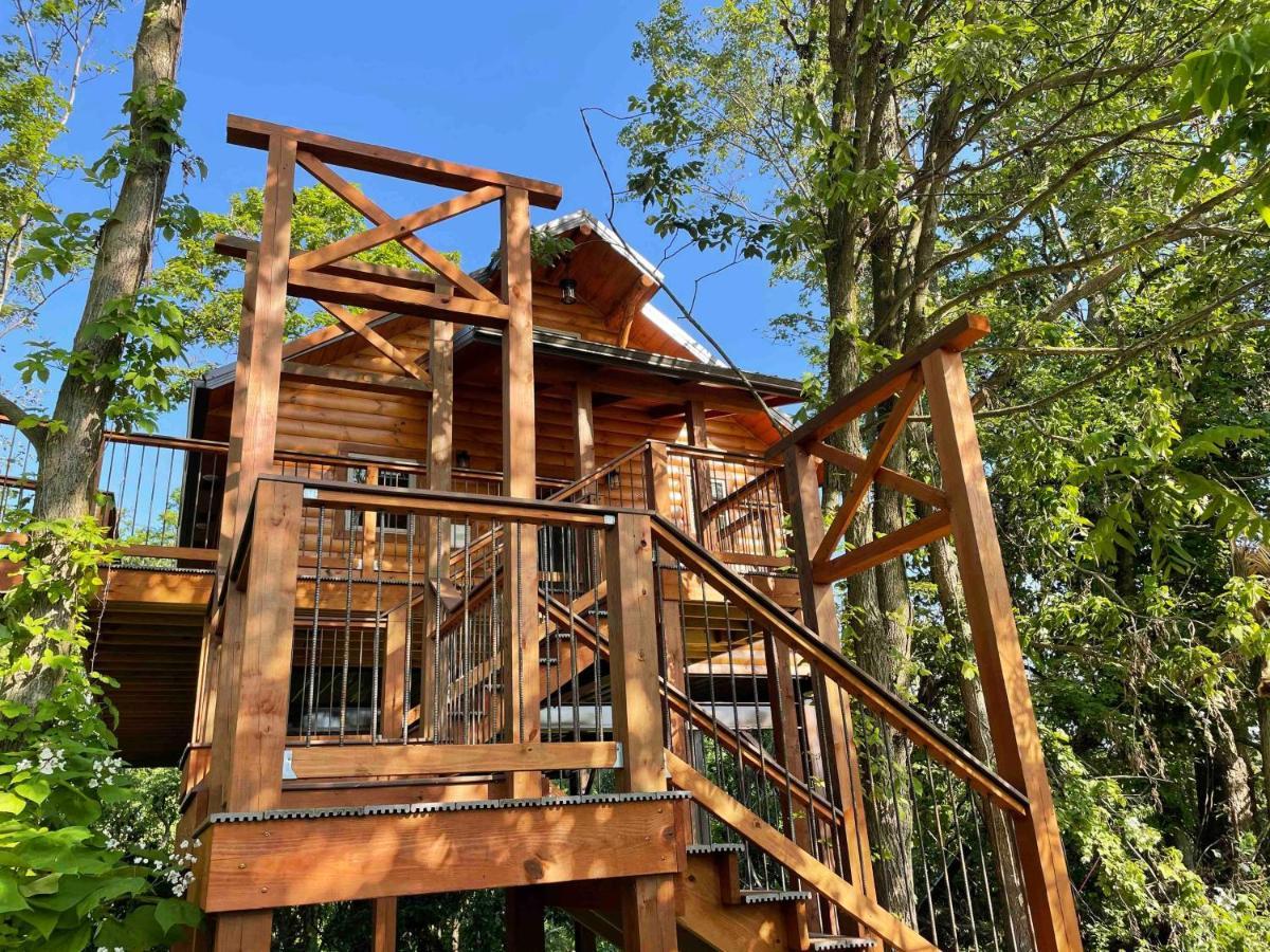 Cricket Hill Treehouse By Amish Country Lodging Millersburg Exteriör bild
